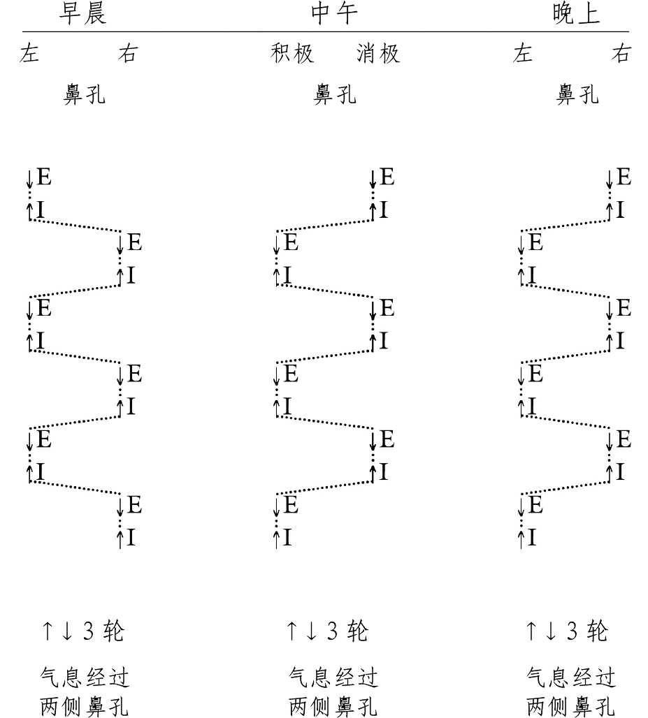 交替呼吸法02_調息法_冥想練習呼吸