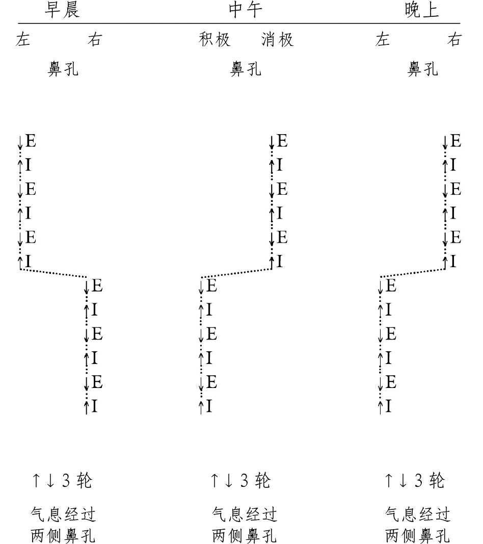 交替呼吸法02_調息法_冥想練習呼吸