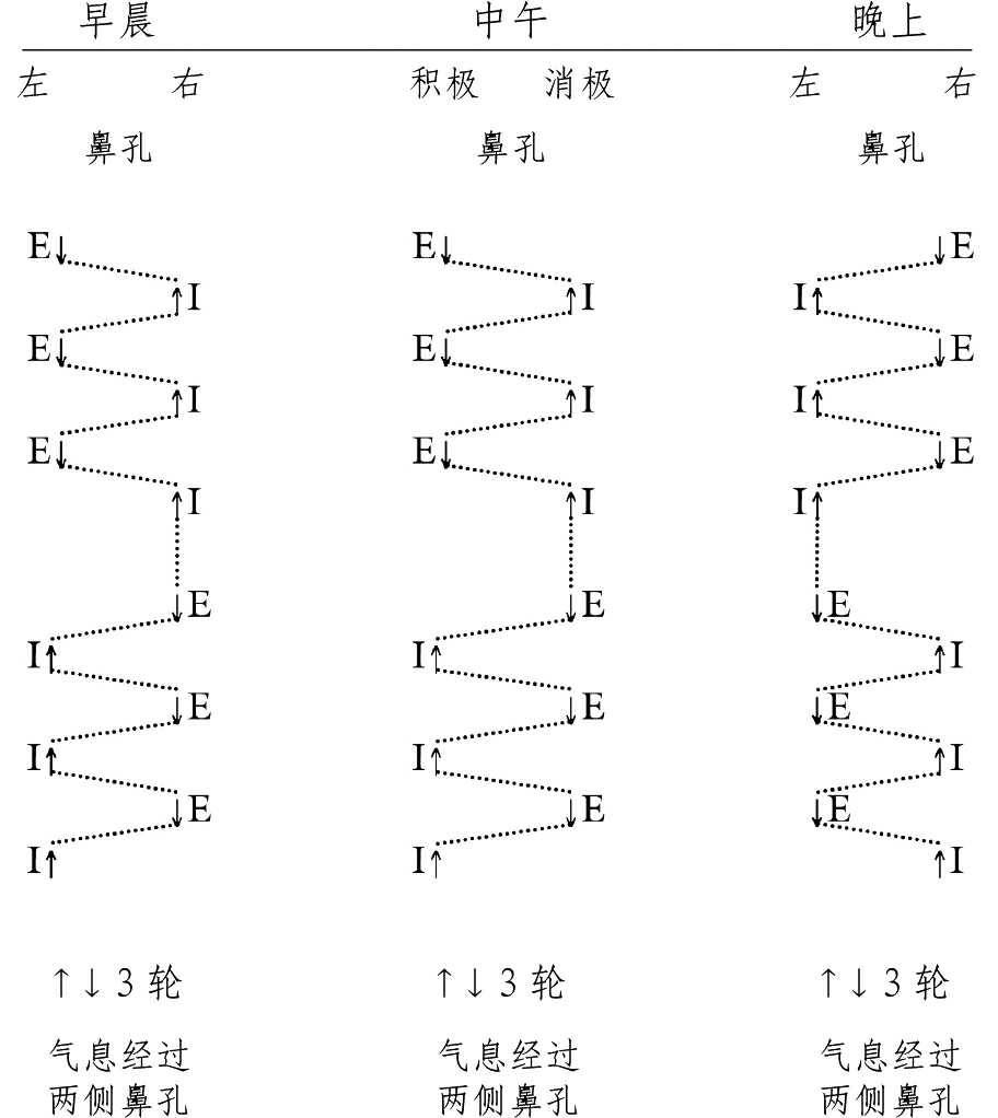 交替呼吸法03_調息法_冥想練習呼吸