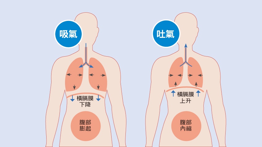 橫隔膜呼吸_調息法_冥想練習呼吸